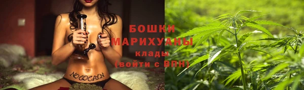 ALPHA-PVP Новозыбков