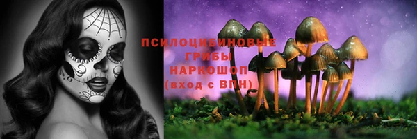 дмт Нефтекумск