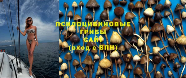соль ск Нефтегорск