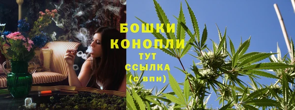 сатива Нея
